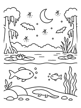 Swamp ecosystem coloring page showing fish underwater, a salamander, and bats beneath a crescent moon.