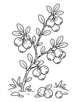Free printable Cranberry Bush With Ripe Berries coloring page