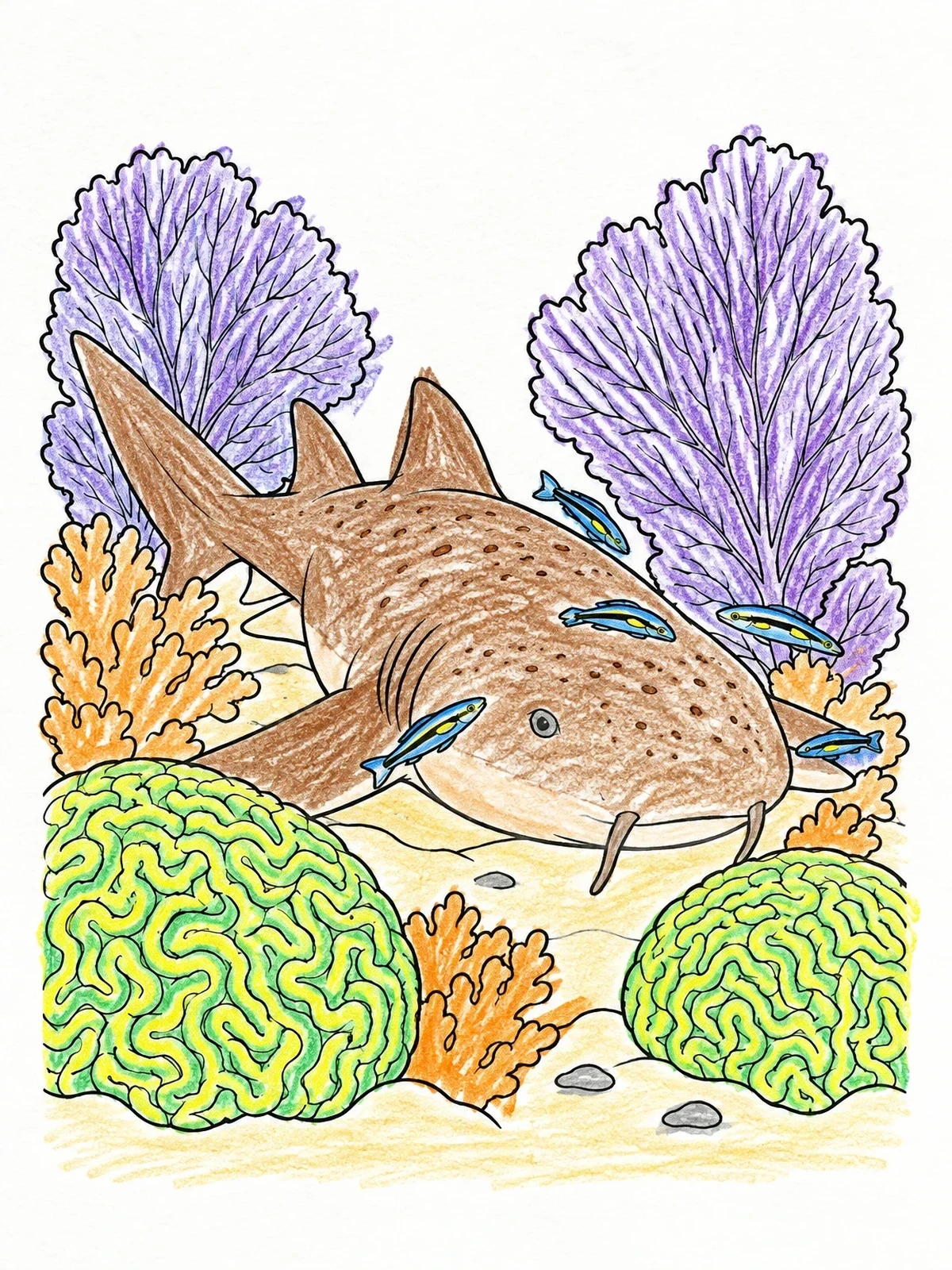 Colored example of the Nurse Shark On Coral Reef coloring page