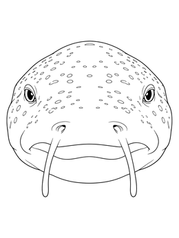 Close-up front view on this nurse shark coloring page featuring detailed barbels and spots.