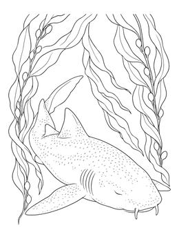 A peaceful nurse shark coloring page featuring tall kelp fronds swaying in the water.