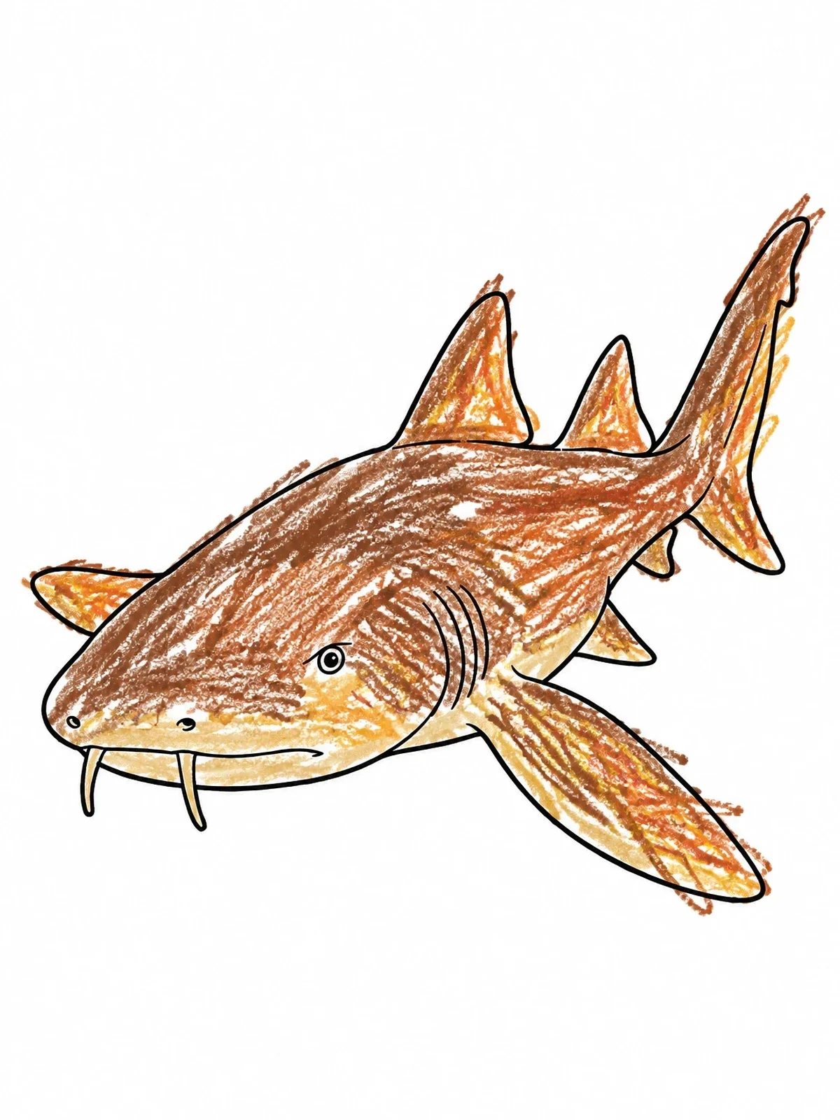 Colored example of the Nurse Shark Swimming Forward coloring page
