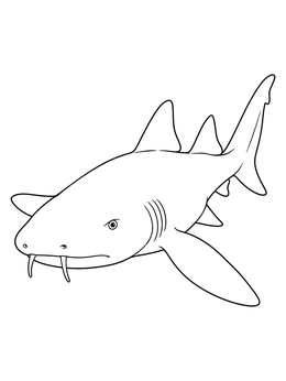 A detailed nurse shark coloring page featuring its barbels and fins.