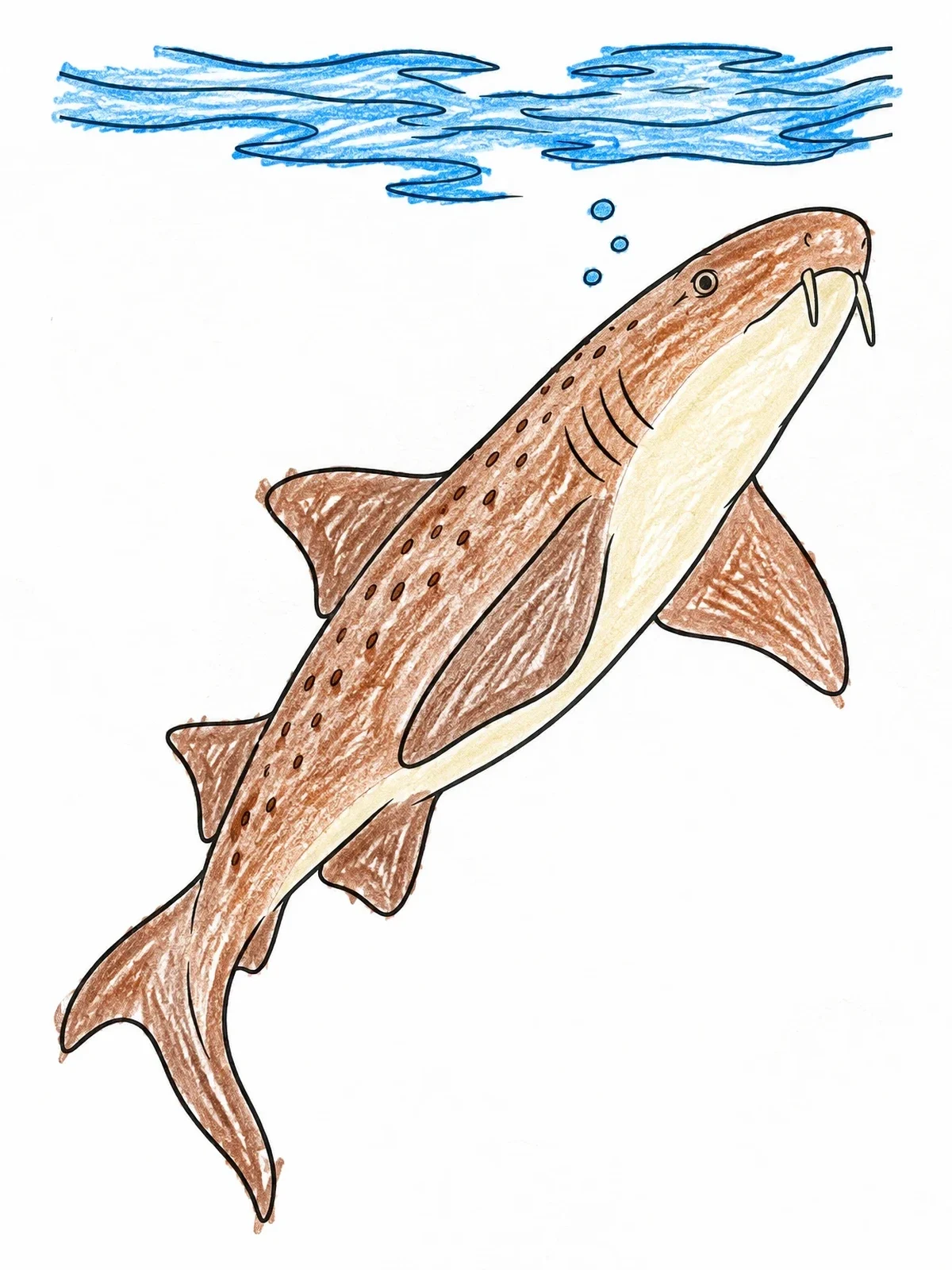 Colored example of the Nurse Shark Swimming Upward coloring page