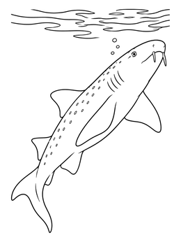 A nurse shark coloring page featuring a shark swimming toward surface ripples.