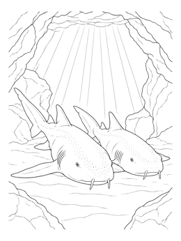 Two gentle sharks rest on the seabed in this nurse shark coloring page featuring an underwater cavern.
