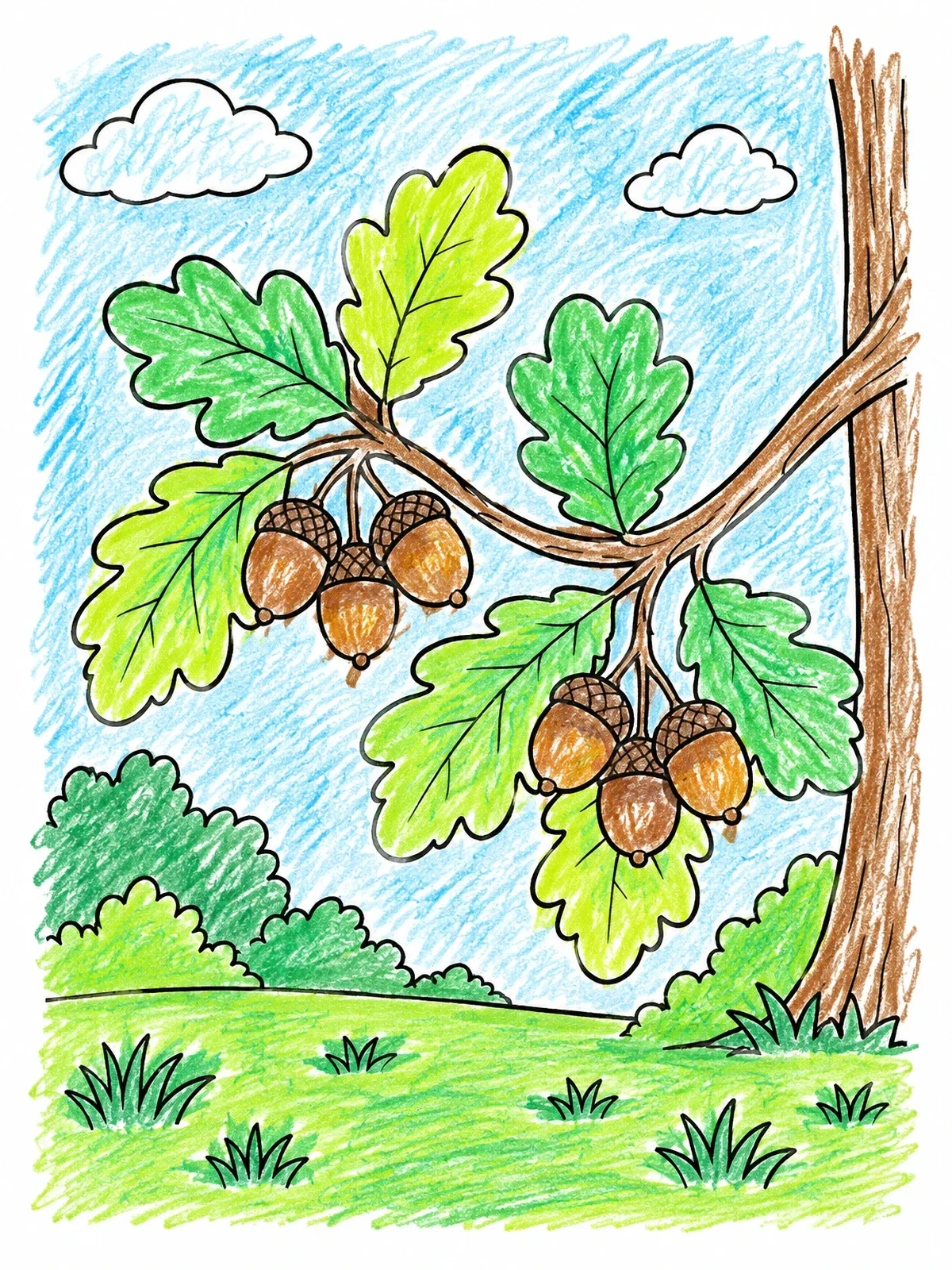 Colored example of the Oak Branch With Acorns coloring page