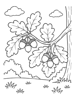 Free printable Oak Branch With Acorns coloring page