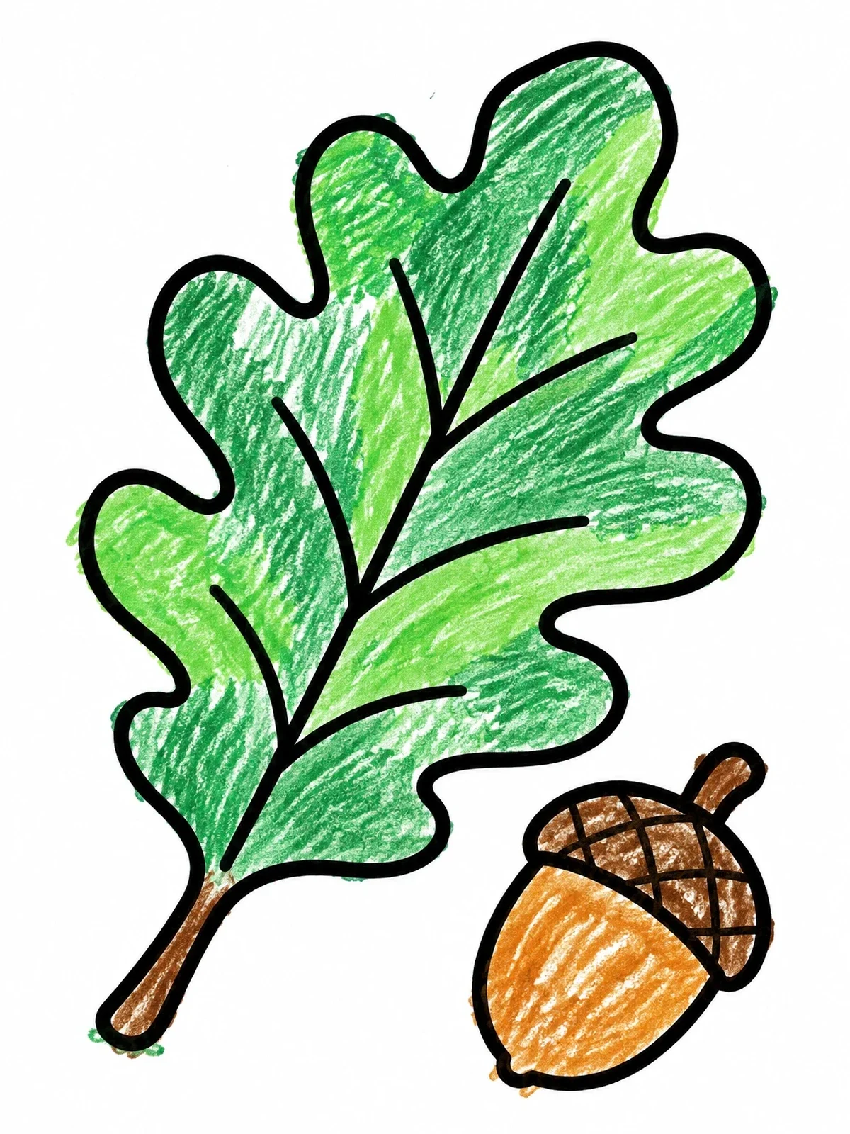 Colored example of the Oak Leaf And Little Acorn coloring page