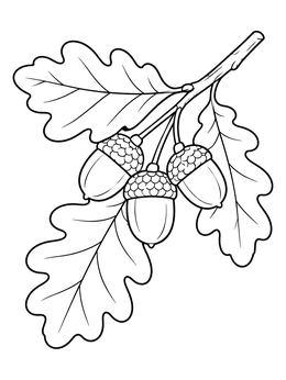 Free printable Oak Leaves With Ripe Acorns coloring page