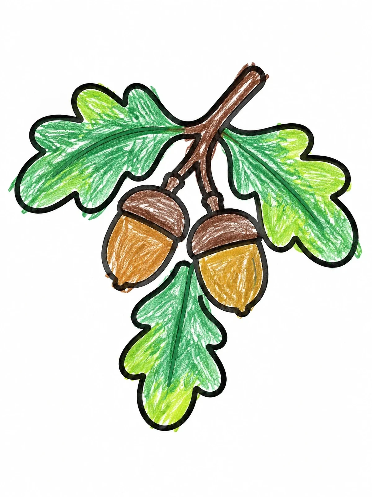 Colored example of the Oak Leaves With Two Acorns coloring page