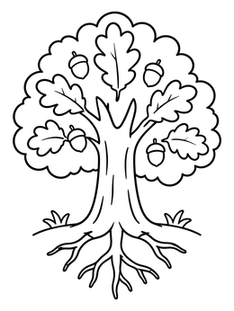 A simple tree of life coloring page featuring an oak tree with acorns and roots.