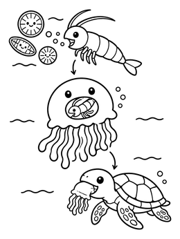A simple food chain coloring page showing plankton, krill, a jellyfish, and a sea turtle.