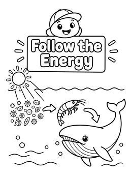 Free printable Ocean Food Chain Follow The Energy coloring page