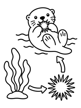 Free printable Ocean Food Chain With Otter coloring page