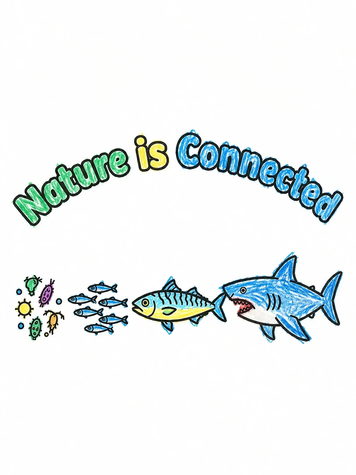 Colored example of the Ocean Food Chain With Shark coloring page