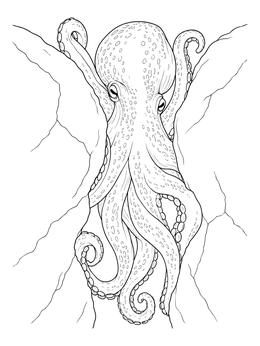 Detailed octopus coloring page showing the sea creature moving through a narrow rock crevice.