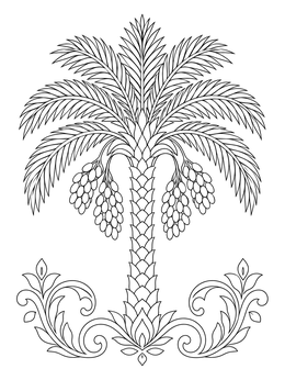 An ornate date palm tree on this detailed oman coloring page.