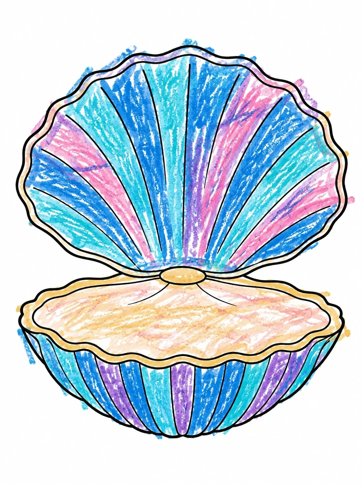 Colored example of the Open Clam Shell Outline coloring page