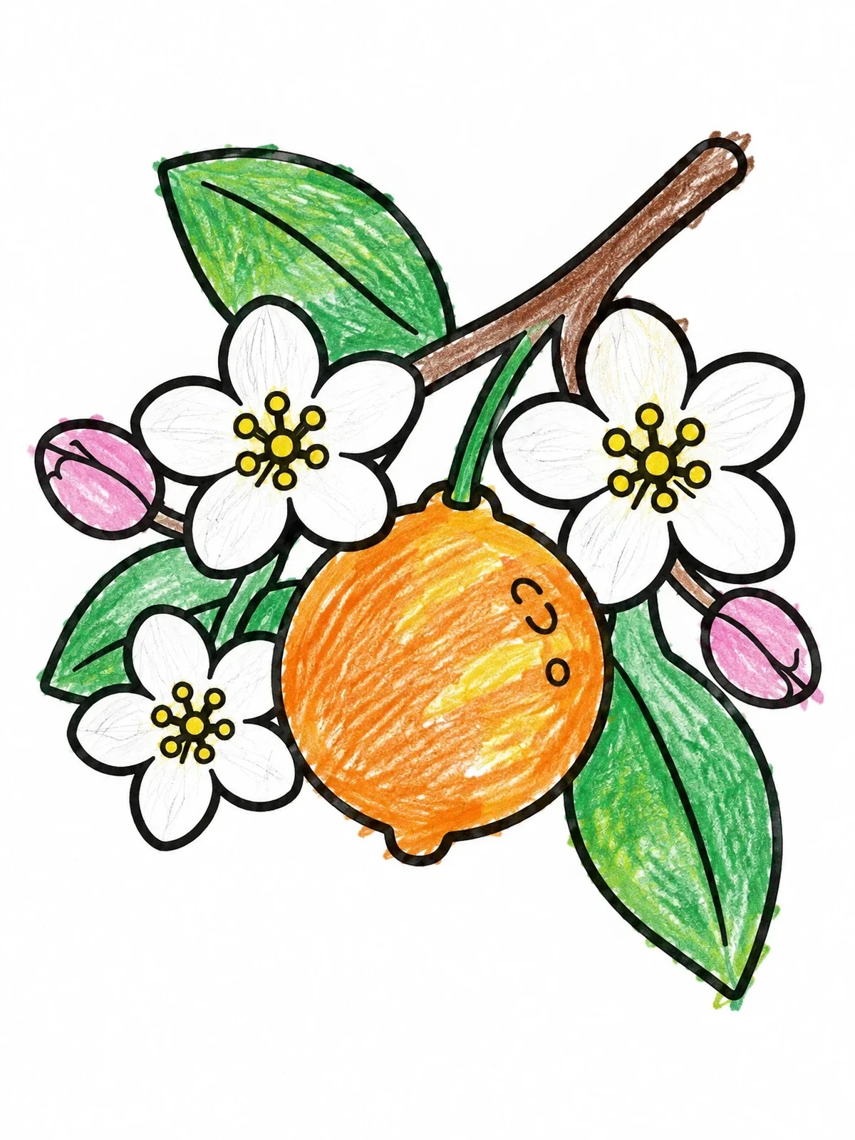Colored example of the Citrus Fruit With Blossoms coloring page