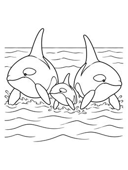An orca whale coloring page showing two large killer whales swimming alongside a small calf.