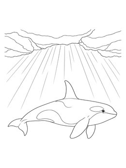 An orca whale coloring page featuring a killer whale swimming beneath ice with sunbeams.