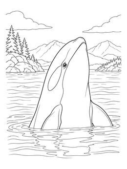 An orca whale coloring page showing the whale spyhopping above water against a mountain backdrop.