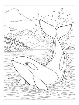 An active orca whale coloring page showing a killer whale tail slapping against mountain scenery.