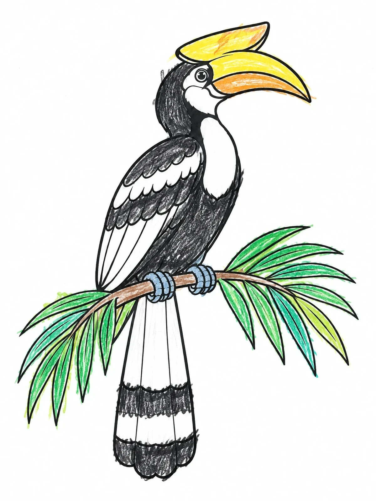 Colored example of the Oriental Pied Hornbill On Palm Branch coloring page