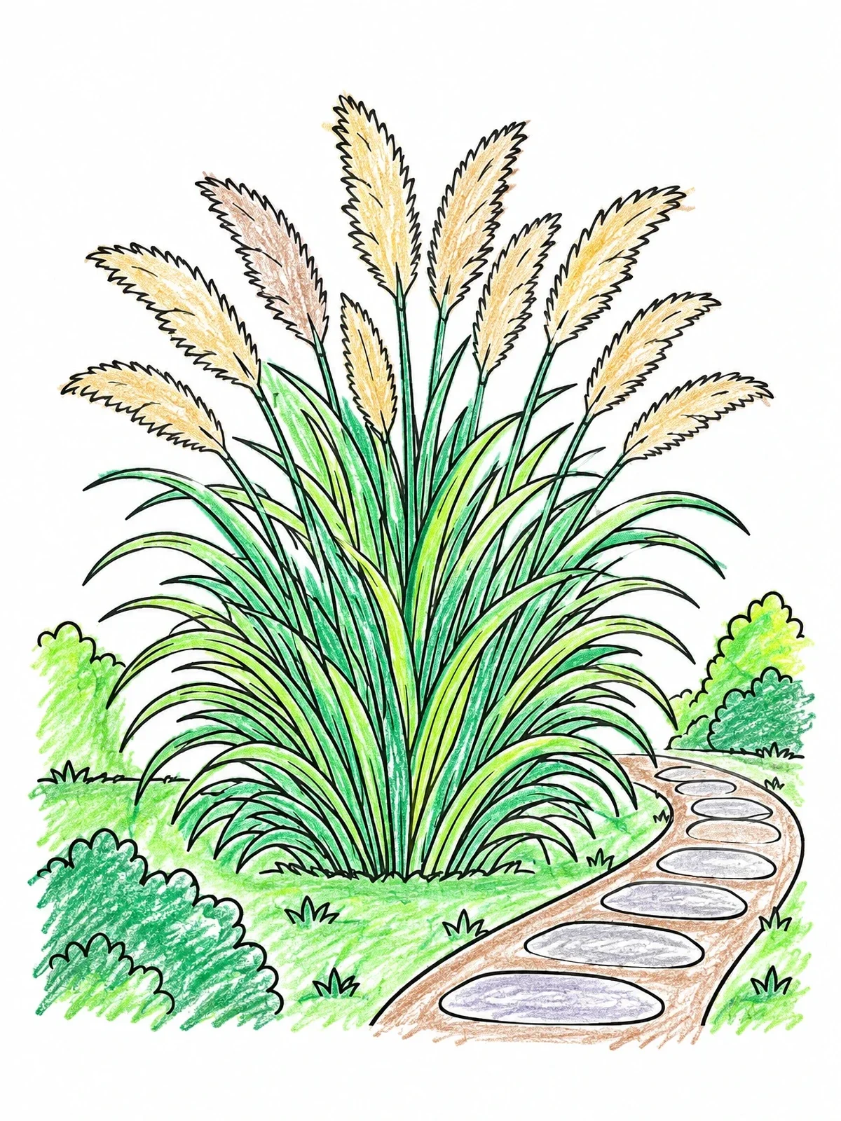 Colored example of the Ornamental Grass Beside Garden Path coloring page