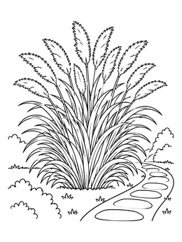 Free printable Ornamental Grass Beside Garden Path coloring page