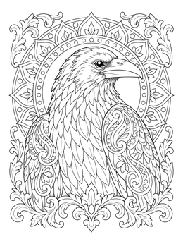A detailed raven coloring page framed by baroque swirls and mandala patterns.