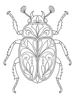 An ornate beetle coloring page featuring symmetrical decorative patterns on its shell.