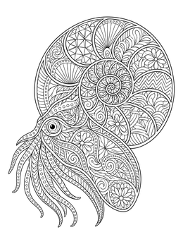 A detailed zentangle coloring page featuring an ornate nautilus with intricate swirling patterns.