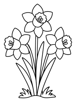 Free printable Trio Of Spring Trumpet Daffodils coloring page