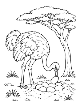 An ostrich coloring page showing a mother bird tending large eggs in a nest beside an acacia tree.