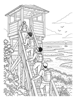 Hikers ascend a wooden observation tower in this outer banks coloring page overlooking marshes.