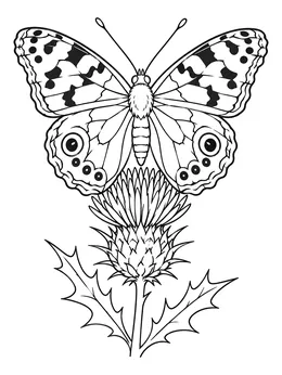 Butterflies for adults coloring page