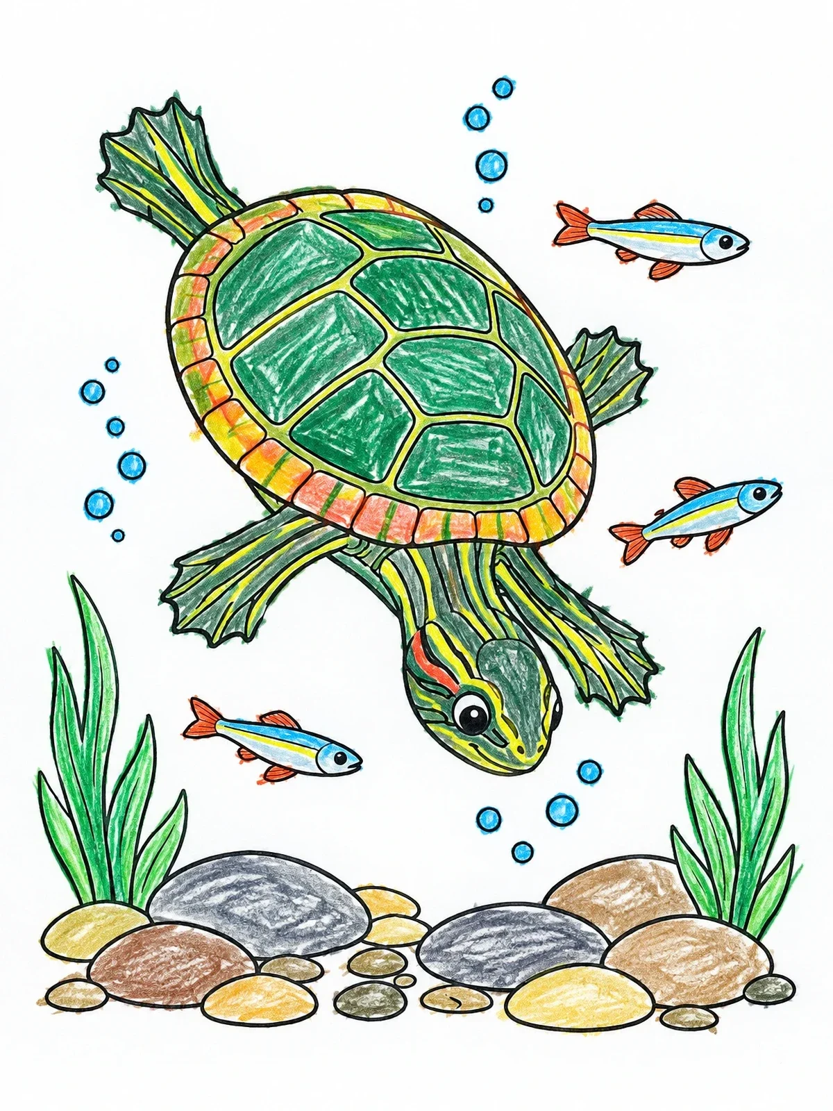 Colored example of the Painted Turtle Swimming Downward coloring page