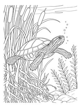 A detailed painted turtle coloring page swimming past underwater roots and cattails.