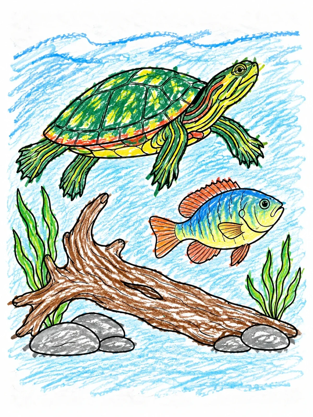 Colored example of the Painted Turtle Swimming With Fish coloring page