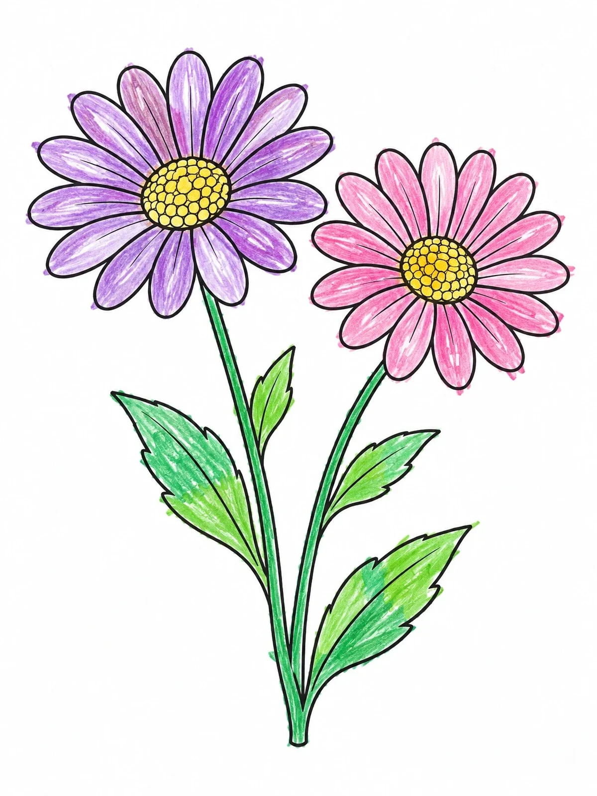 Colored example of the Pair Of Blooming Daisy Flowers coloring page