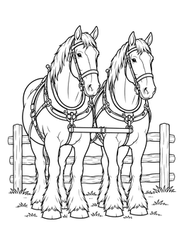 A pair of harnessed draft horses standing by a fence in this clydesdale coloring page.