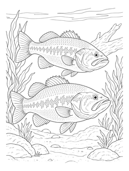 Two fish swim near lake plants in this detailed bass coloring page.