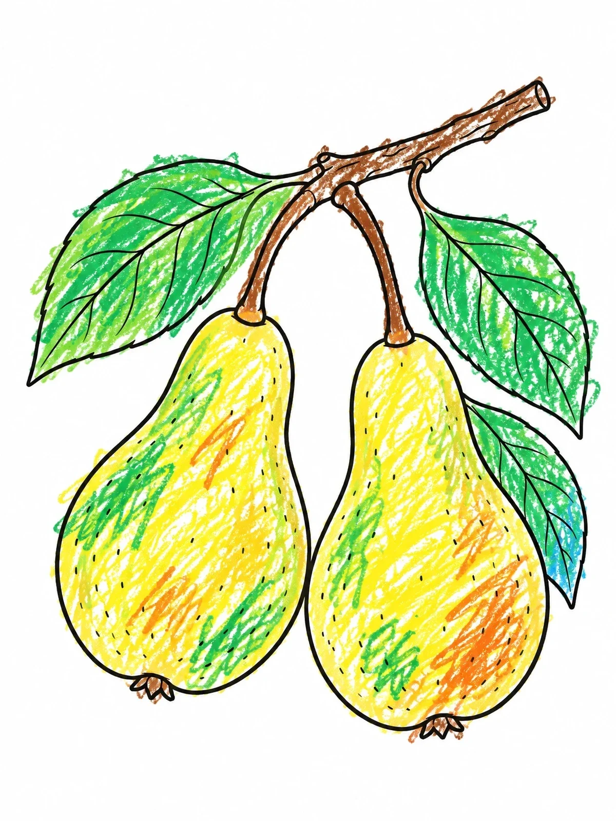 Colored example of the Pair Of Pears On Branch coloring page