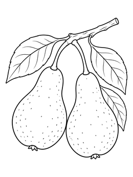 Two ripe fruit on a twig in this pears coloring page.