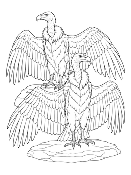 A detailed vulture coloring page featuring two large birds perched on rocks with outstretched wings.