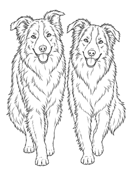 Free printable Pair Of Walking Border Collies coloring page