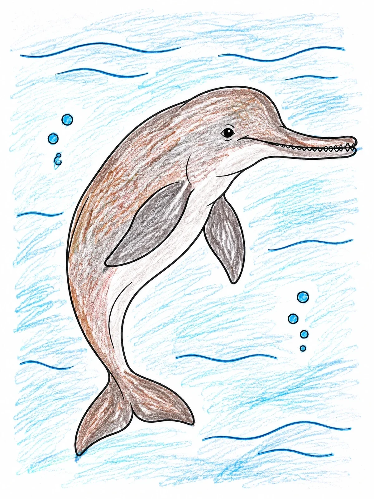 Colored example of the Swimming Indus River Dolphin coloring page