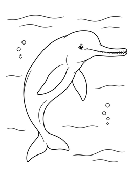 Free printable Swimming Indus River Dolphin coloring page
